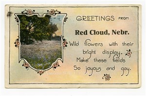 Image description is not available for PHO-264-778